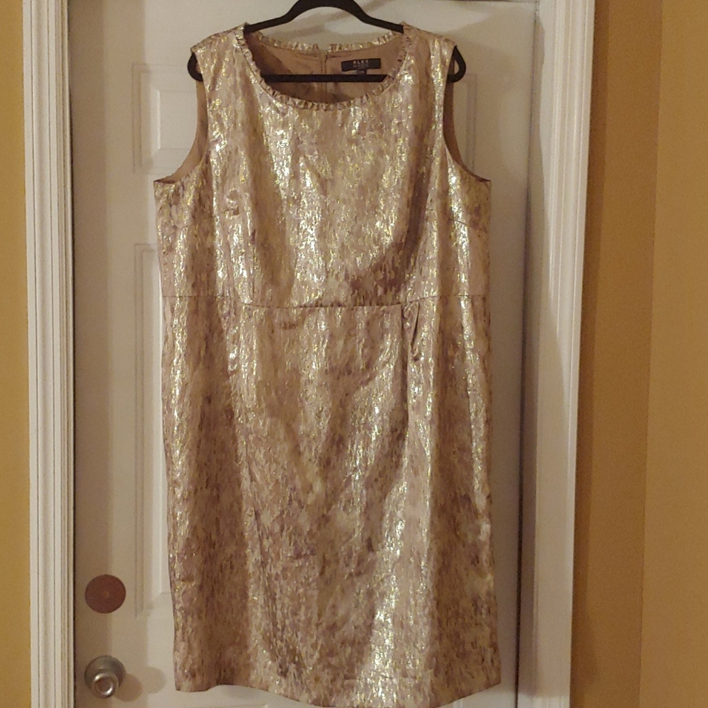 Alex Marie Mettalic Dress with Pockets!